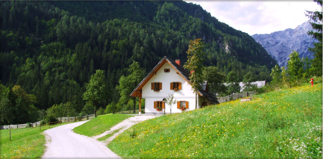 Samll wooden house in the mountains surrounded by forest and meadows
